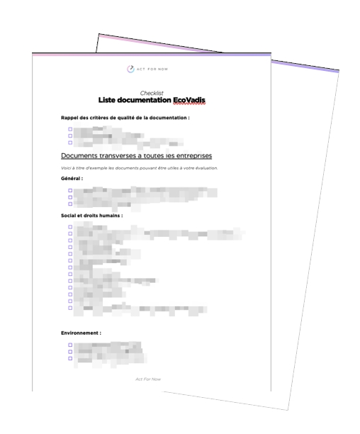 TOP 10 documents EcoVadis