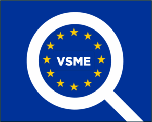 Rapport VSME comment se lancer