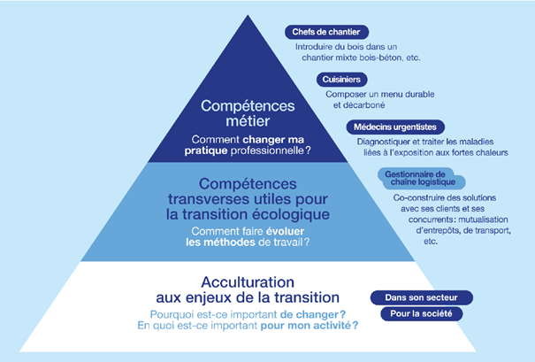 Evolution compétences - RSE et RH
